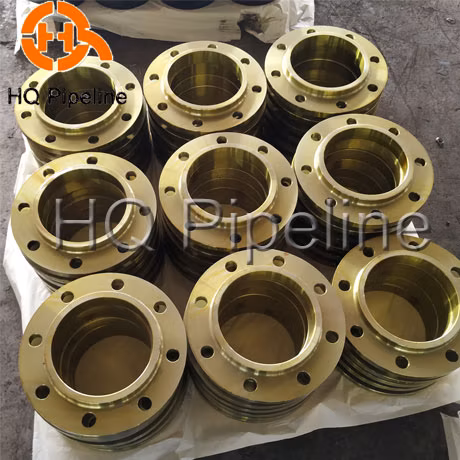 Forged Carbon Stainless Steel Welding Neck Blind Slip on Plate Socket RF FF Pipe Flanges